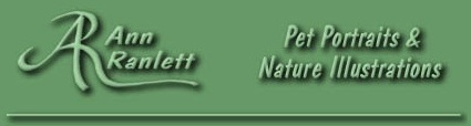 Ann Ranlett Pet Portaits & Nature Illustrations