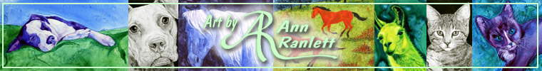 Ann Ranlett's Art