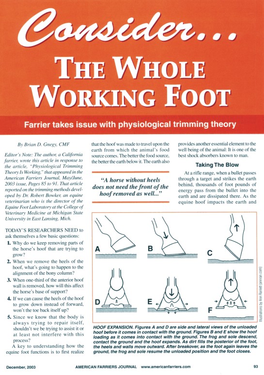 Page from American Farriers Journal with Ann's Diagram