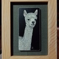 Alpaca - Framed